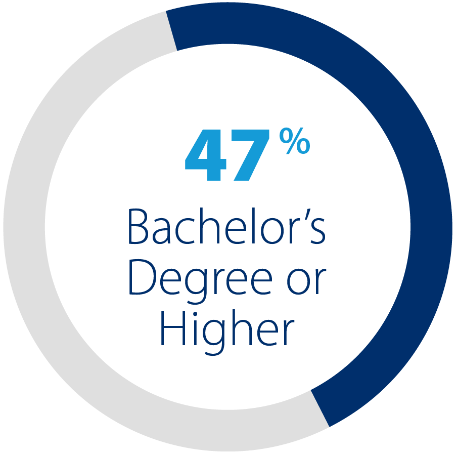 Pie chart showing 47% for bachelor's degree or higher